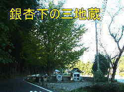 銀杏下の三地蔵、熊野古道・伊勢路を歩く