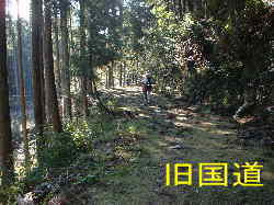 旧国道、熊野古道・伊勢路を歩く