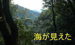 海が見えた・二坂峠、熊野古道・伊勢路を歩く