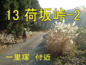 一里塚付近、荷坂峠、熊野古道「伊勢路」を歩く、