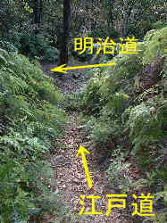 荷坂峠・江戸道と明治道の交差点、熊野古道「伊勢路」を歩く、