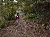 荷坂峠を下る、熊野古道「伊勢路」を歩く、