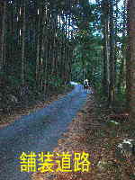 舗装道路、ツヅラト峠へ、熊野古道・伊勢路を歩く