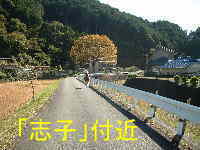 「志子」付近、熊野古道・伊勢路を歩く