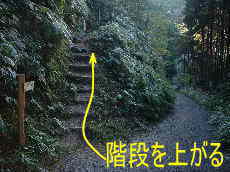 三浦峠・階段、熊野古道・伊勢路を歩く