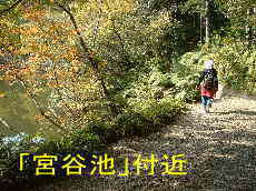 「宮谷池」付近、始神峠より、熊野古道・伊勢路を歩く