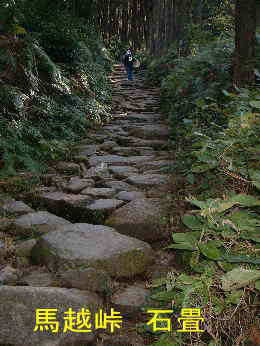 馬越峠・石畳2、熊野古道・伊勢路を歩く