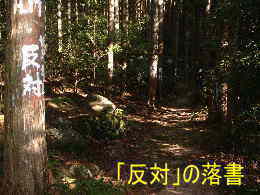 杉木肌に世界遺産「反対」の落書き、八鬼山峠、熊野古道・伊勢路を歩く