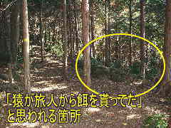 西国三十三名所絵図の猿が居たと思われる箇所、八鬼山峠、熊野古道・伊勢路を歩く