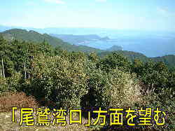 「さくらの森エリア」より尾鷲湾口方面を望む、八鬼山峠、熊野古道・伊勢路を歩く