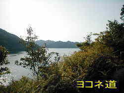 ヨコネ道から海を望む、熊野古道・伊勢路を歩く