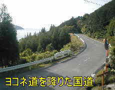 ヨコネ道から降りた国道、熊野古道・伊勢路を歩く