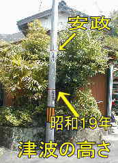 賀田町電柱・津波の高さ表示、熊野古道・伊勢路を歩く