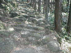 甫母峠への石畳、熊野古道・伊勢路を歩く