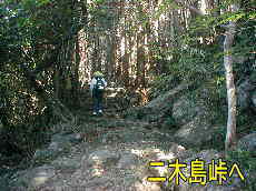 二木島峠へ、熊野古道・伊勢路を歩く