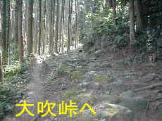大吹峠へ、熊野古道・伊勢路を歩く