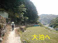 大泊へ、熊野古道・伊勢路を歩く