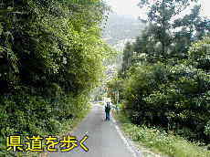 県道を歩く、熊野古道・川丈街道を歩く
