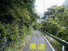 県道、熊野古道・川丈街道を歩く
