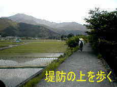 堤防の上を歩く、熊野古道・川丈街道を歩く