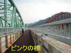 ピンクの橋・熊野川、熊野古道・川丈街道を歩く