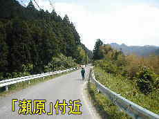 「瀬原」付近、熊野古道・川丈街道を歩く