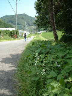 河瀬　付近、熊野古道・紀伊路を歩く