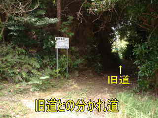 旧道との分かれ道、熊野古道・紀伊路を歩く