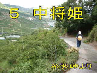 「糸我峠」より、熊野古道・紀伊路を歩く
