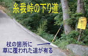 糸我峠からの下り道、熊野古道・紀伊路を歩く