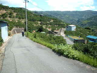 ミカン畑を上った、熊野古道・紀伊路を歩く