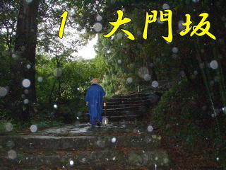 雨の大門坂、熊野古道・中辺路を歩く