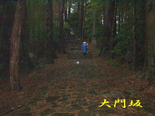 薄暗い「大門坂」、熊野古道・中辺路を歩く