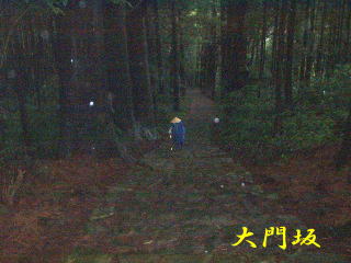 「大門坂」杉並木、熊野古道・中辺路を歩く