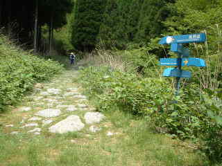 「石倉峠へ」道標・大雲取越え、熊野古道・中辺路を歩く