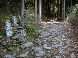 「石倉峠へ・石仏」・大雲取越え、熊野古道・中辺路を歩く