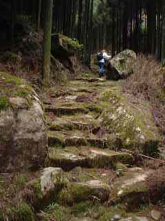 「石倉峠へ」石階段・大雲取越え、熊野古道・中辺路を歩く