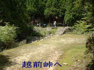 「越前峠へ」橋・大雲取越え、熊野古道・中辺路を歩く