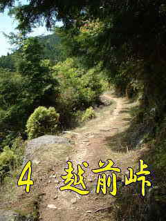 越前峠への山道、・大雲取越え、熊野古道・中辺路を歩く