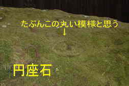 「円座石　模様」、大雲取越え、熊野古道・中辺路を歩く