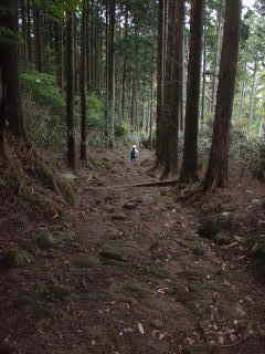 「胴切坂」の坂道3、大雲取越え、熊野古道・中辺路を歩く