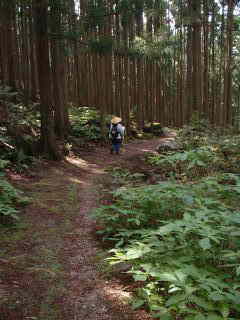 「胴切坂」5、大雲取越え、熊野古道・中辺路を歩く