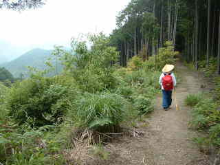 尾根道2.小雲取越え、熊野古道・中辺路を歩く