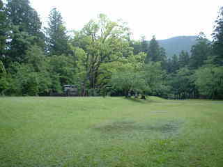 大斎原の草地、熊野古道・中辺路を歩く