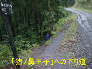 「猪鼻王子への分かれ道」、熊野古道・中辺路を歩く