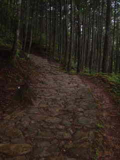石畳の道、熊野古道・中辺路を歩く