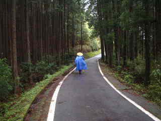車道を行く、熊野古道・中辺路を歩く
