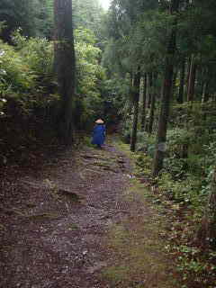 山道、熊野古道・中辺路を歩く