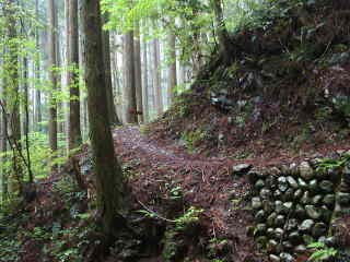 「三越峠」へ、熊野古道・中辺路を歩く