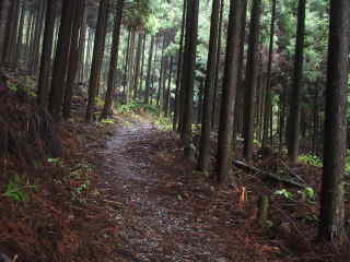 「三越峠」より下り道、熊野古道・中辺路を歩く